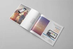 創(chuàng)意產(chǎn)品畫冊設計在游樂園服務中的關鍵作用